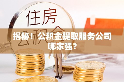 丹棱揭秘！公积金提取服务公司哪家强？
