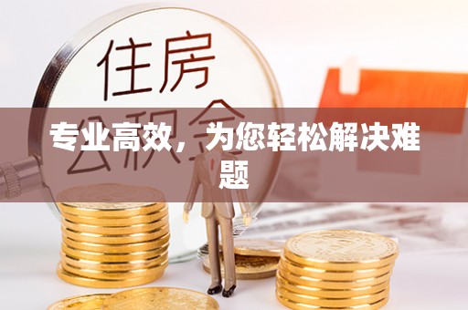 丹棱专业高效，为您轻松解决难题